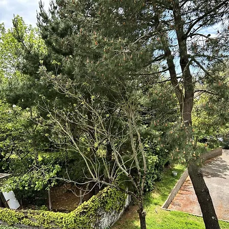 Διαμέρισμα Caz-66-la Baule Escoublac - - Proche Mae-3391