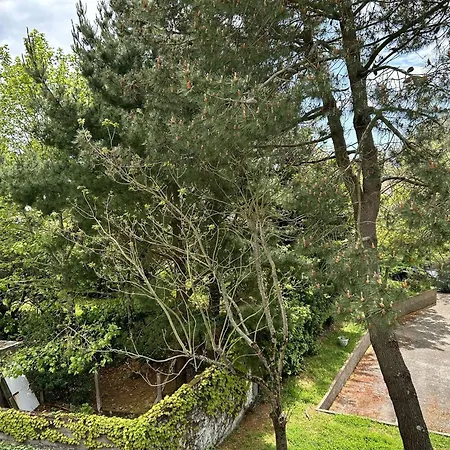 Caz-66-la Baule Escoublac - - Proche Mae-3391 Διαμέρισμα La Baule